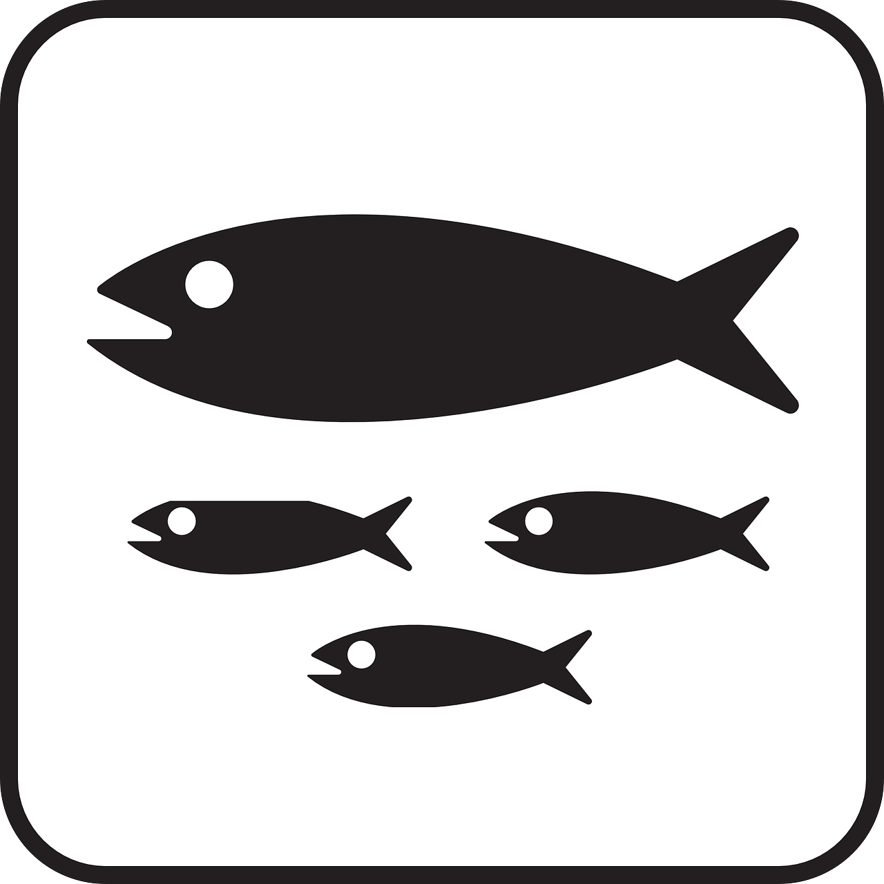 Žuvis, Žuvų Mokykla, Mokymasis, Žuvies Pod, Maudytis, Žvejyba, Siauras, Shoaling, Jūros Laukinė Fauna, Vandens