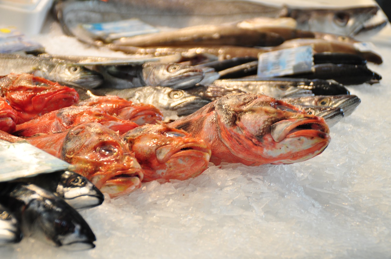 Žuvų Parduotuvė, Žuvis, Frisch, Turgus, Jūros Gyvūnai, Maistas, Fischhandel, Prekystalis, Žvejyba, Ledas