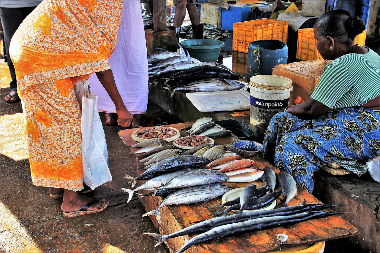 Žuvų Parduotuvė,  Žmonės,  Išparduoti,  Žuvis,  Turgus,  Prekyba,  Darbas,  Struktūrą,  Figūra,  Šri Lanka