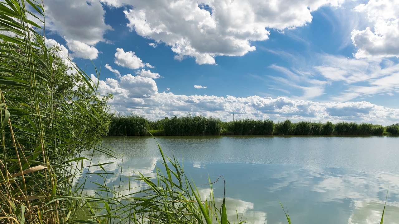 Žuvų Tvenkinys, Gamta, Debesys, Nemokamos Nuotraukos,  Nemokama Licenzija