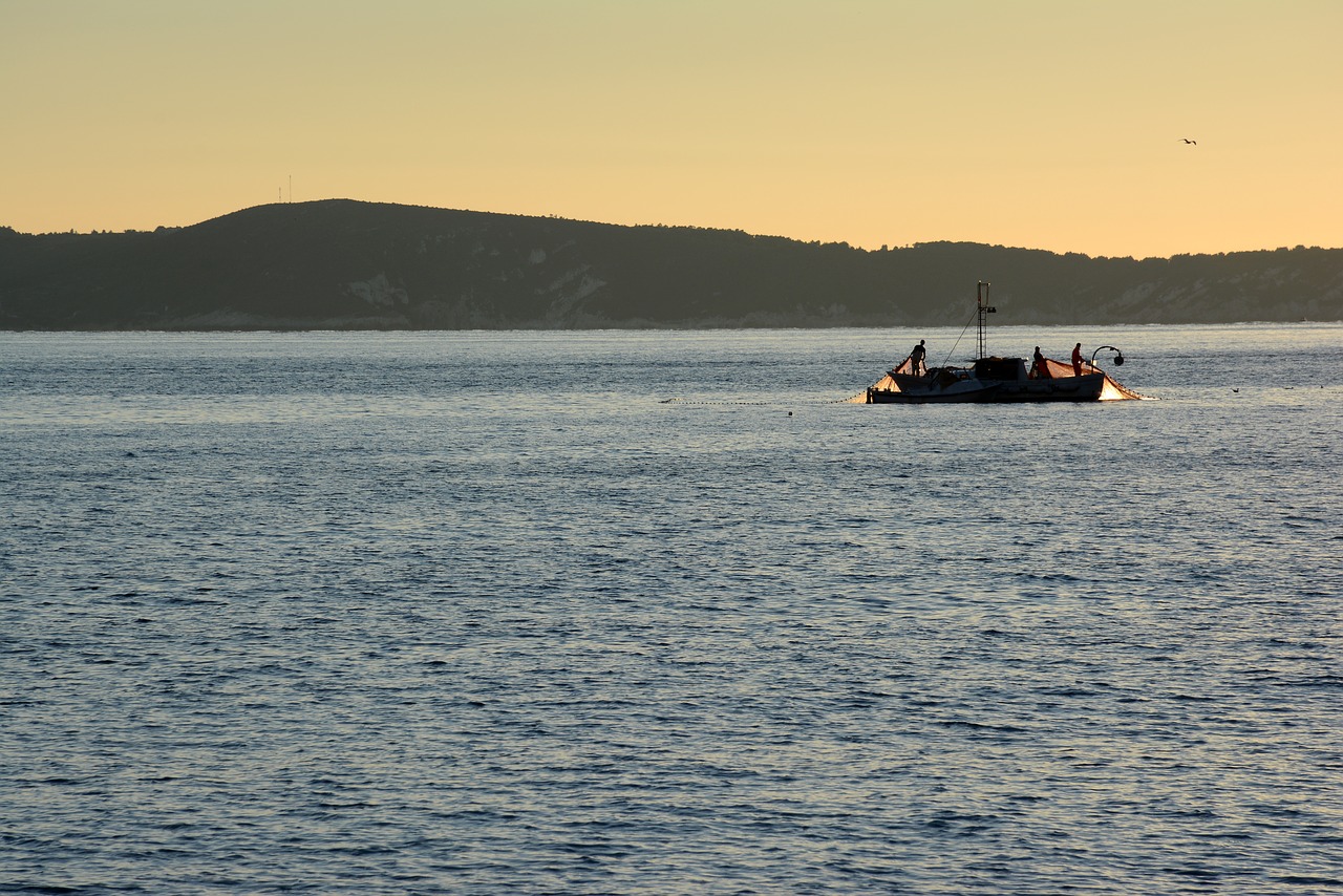 Žvejai, Adrijos Regionas, Kroatija, Vis, Viduržemio Jūros, Dalmatija, Nemokamos Nuotraukos,  Nemokama Licenzija