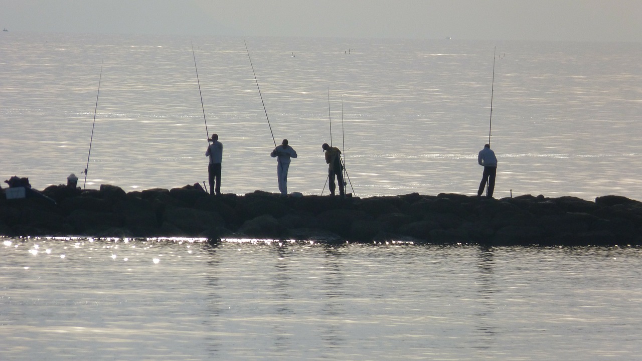 Žvejai, Jūra, Žvejyba, Nemokamos Nuotraukos,  Nemokama Licenzija