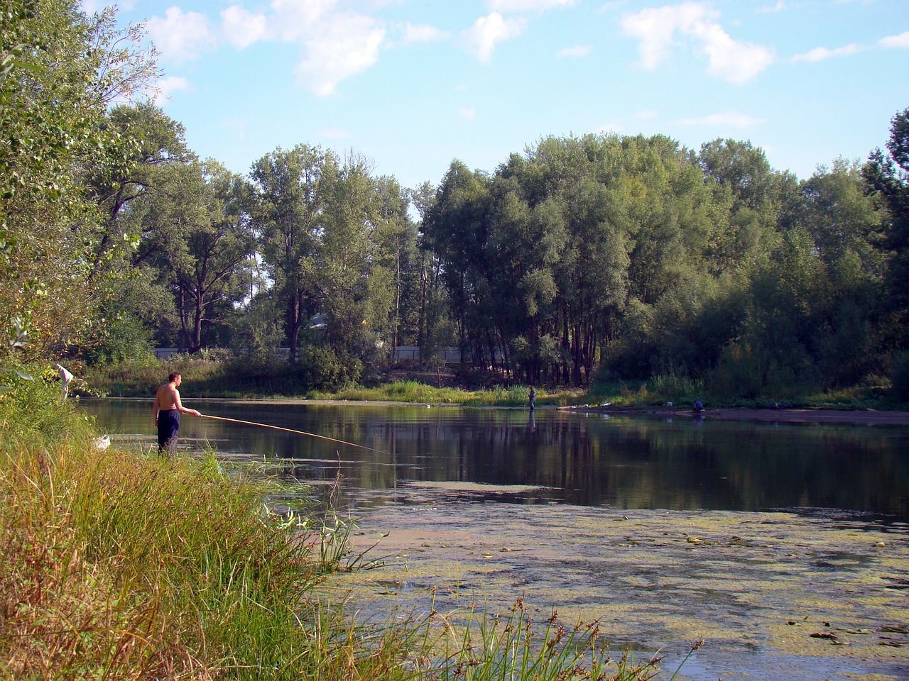 Žvejyba, Žvejys, Lazdelė, Ežeras, Užėmė Vietą, Medžiai, Žolė, Žvejai, Nemokamos Nuotraukos,  Nemokama Licenzija