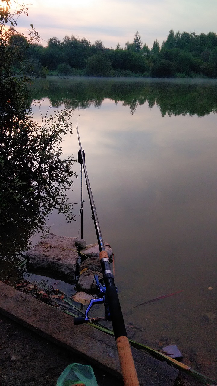 Žvejyba, Ežeras, Gamta, Nemokamos Nuotraukos,  Nemokama Licenzija