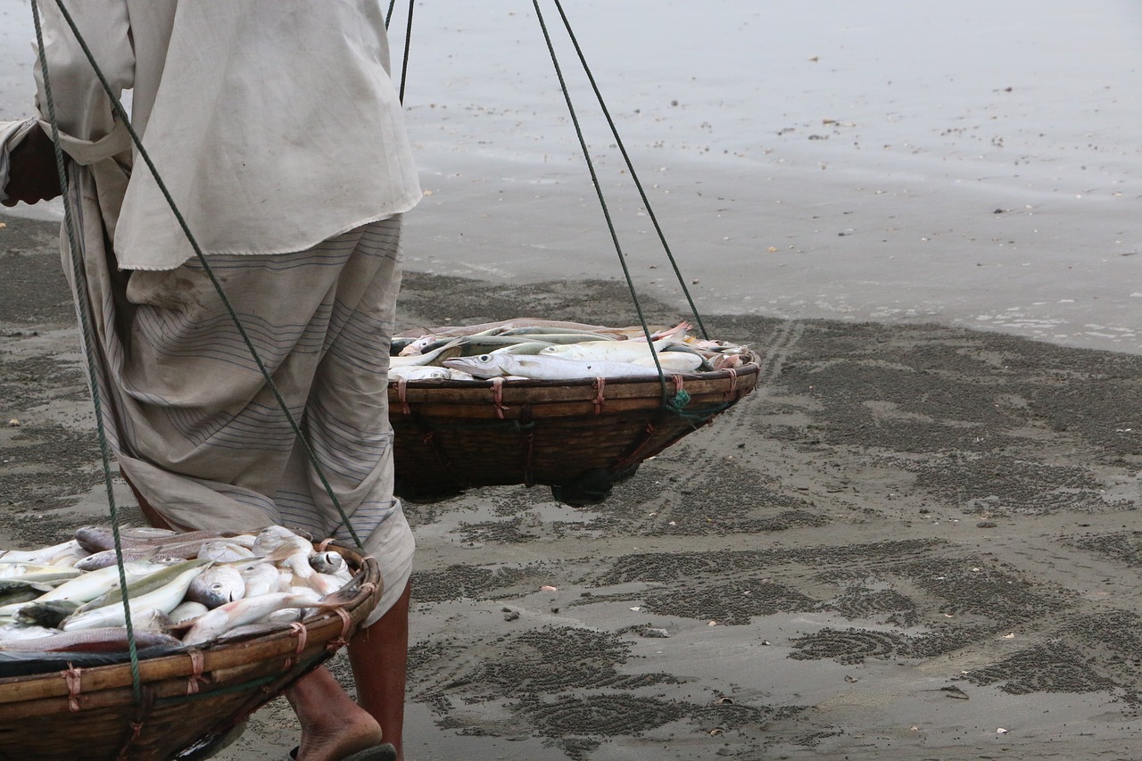 Žvejyba, Žmonės, Coxs Bazar, Bangladešas, Chittagong, Nemokamos Nuotraukos,  Nemokama Licenzija