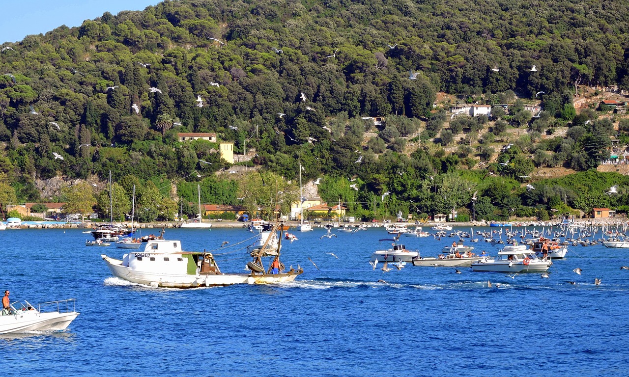 Žvejyba, Paukščiai, Žuvis, Jūra, Valtis, Nemokamos Nuotraukos,  Nemokama Licenzija