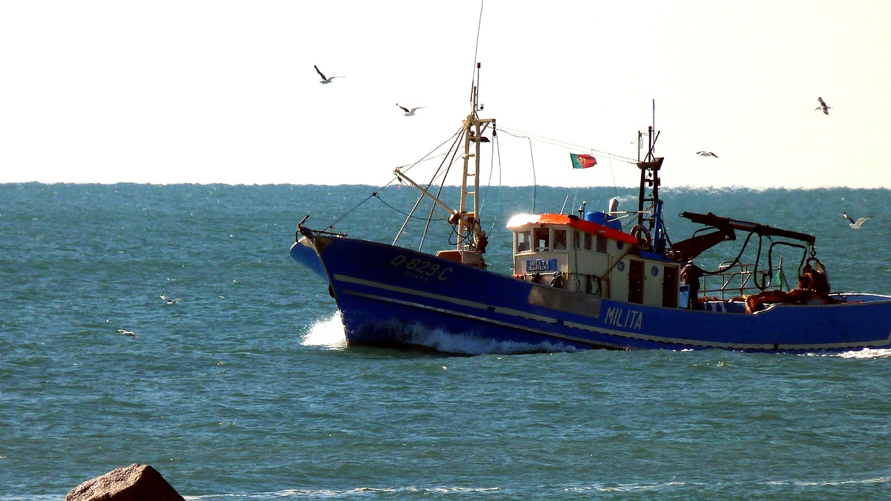 Žvejybos Laivas, Algarve, Kaukolės, Jūra, Nemokamos Nuotraukos,  Nemokama Licenzija
