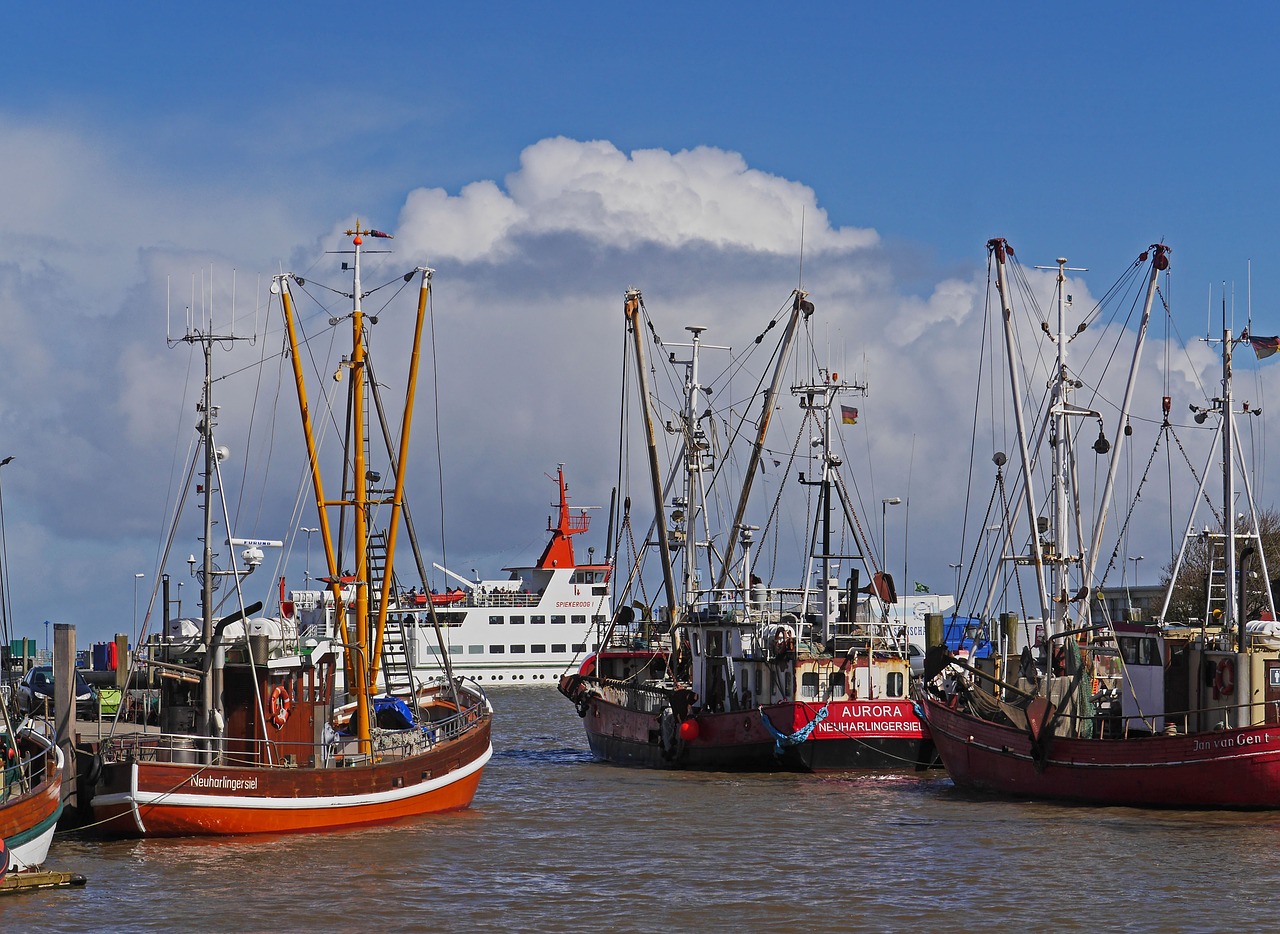 Žvejybos Laivas, Sielhafenas, Keltų Terminalas, Neuharlingersiel, Žvejybos Uostas, Pjaustytuvas, Keltas, Spiekeroog, Vatai, Wadden Jūra