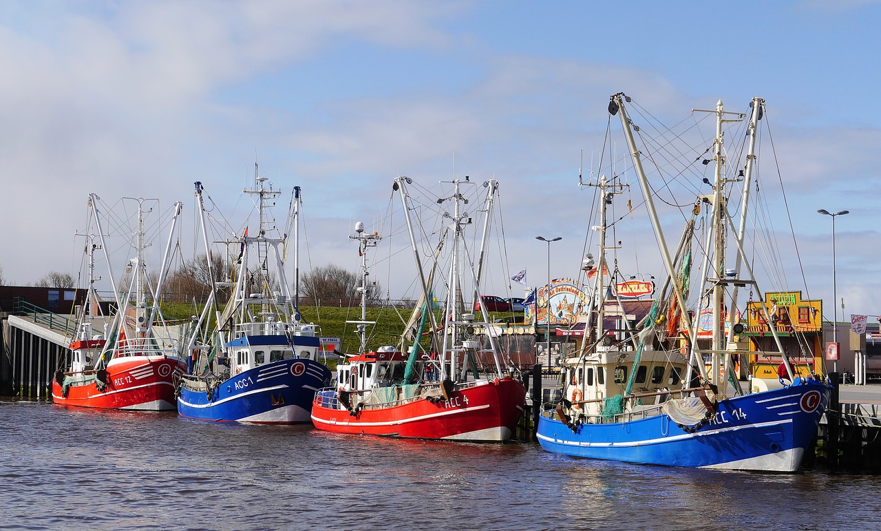 Žvejybos Laivas, Krevetės, Šiaurės Jūra, Rytinė Frisia, Accumersiel, Uostas, Sielhafenas, Jūra, Vatai, Wadden Jūra