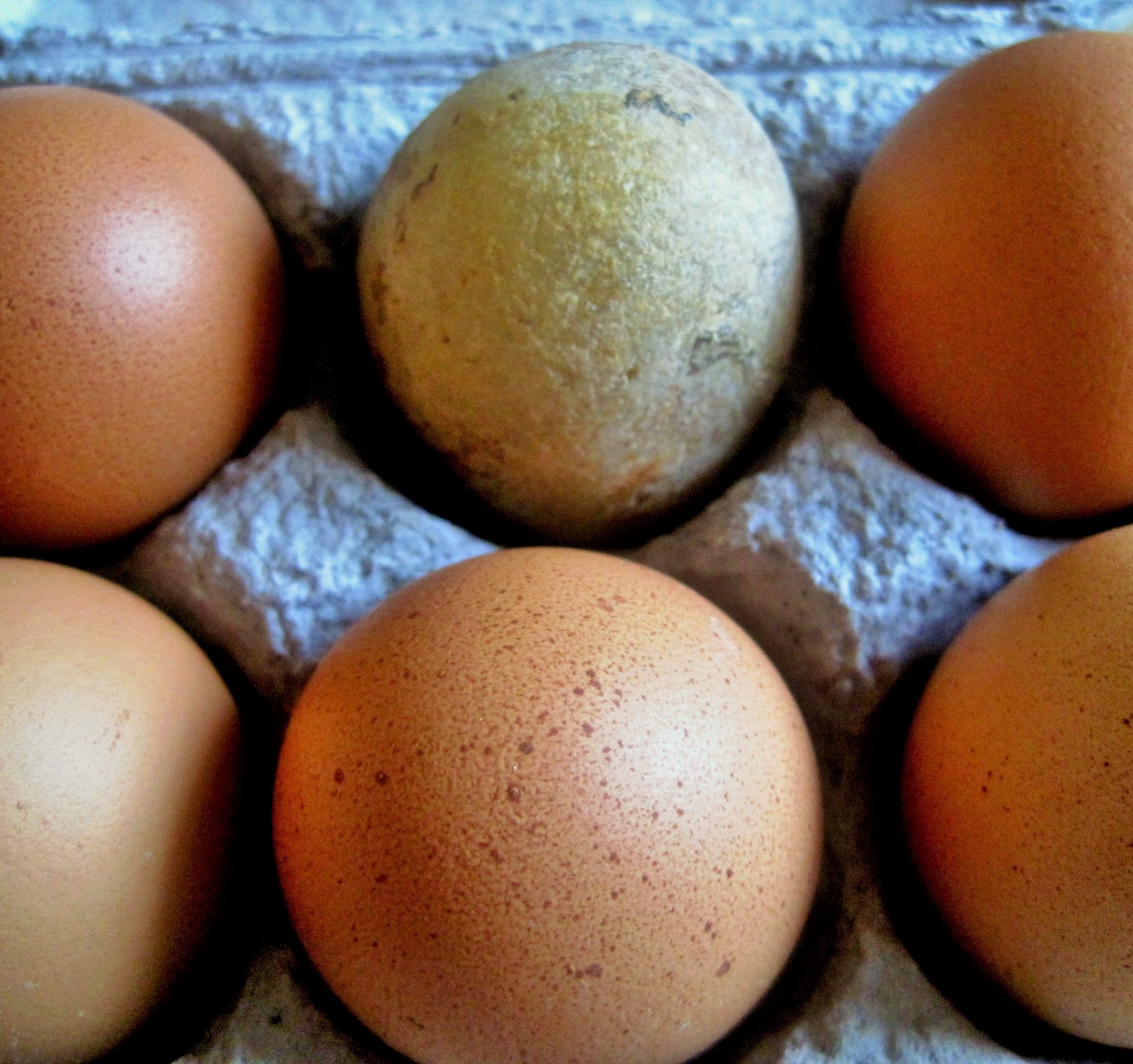 Kiaušiniai,  Ruda,  Dėžutė,  Akmuo,  Kiaušinio Formos,  Penki Kiaušiniai Ir Akmuo, Nemokamos Nuotraukos,  Nemokama Licenzija