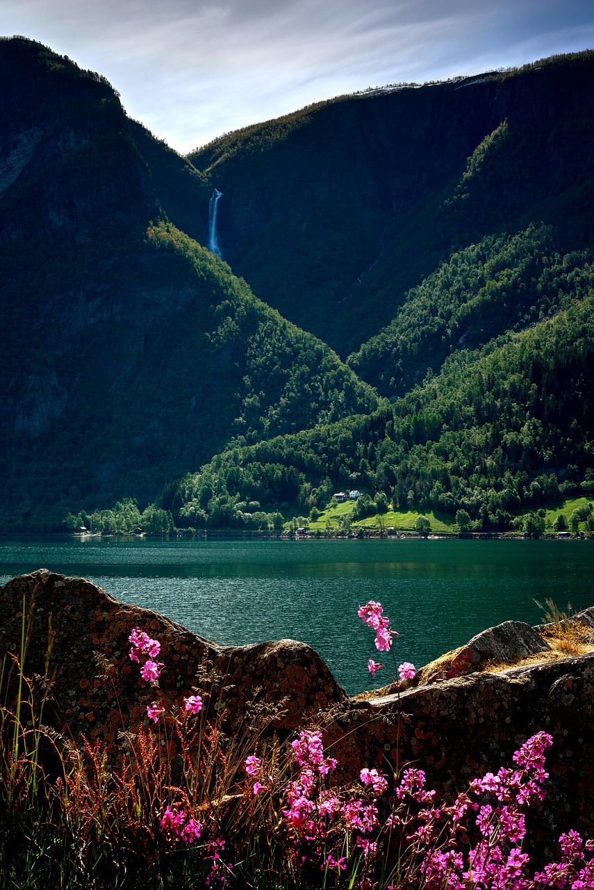 Fjord,  Kalnų,  Pobūdį,  Krioklys,  Norvegija,  Gėlės, Nemokamos Nuotraukos,  Nemokama Licenzija