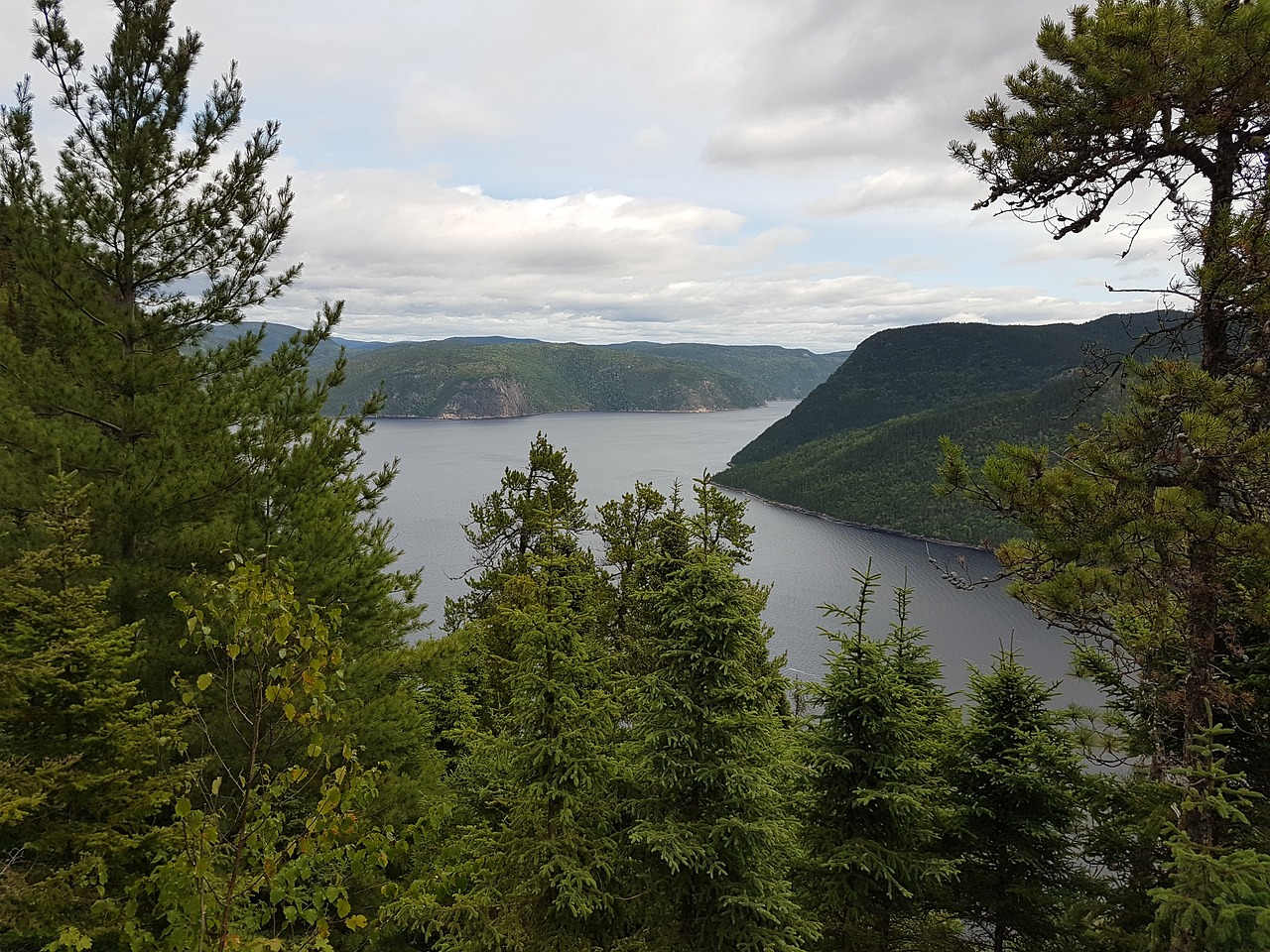 Fjord,  Vista,  Saguenay,  Kvebekas, Nemokamos Nuotraukos,  Nemokama Licenzija