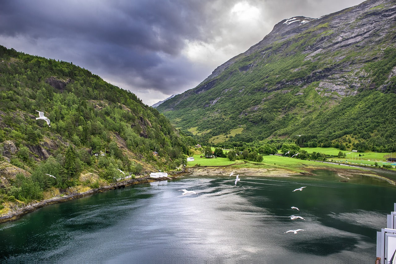 Fjord,  Paukščiai,  Norvegija, Nemokamos Nuotraukos,  Nemokama Licenzija