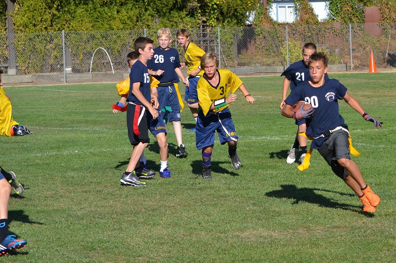 Vėliava Futbolas, Sportas, Jaunimas, Vaikai, Jauniai, Amerikietiškas Futbolas, Nemokamos Nuotraukos,  Nemokama Licenzija