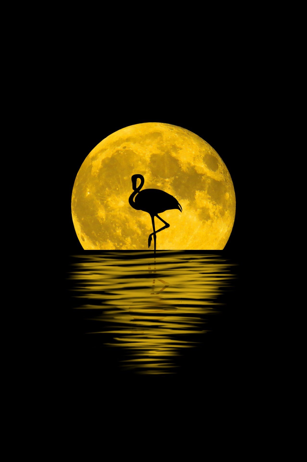 Mėnulis,  Atspindys,  Flamingo,  Gyvūnas,  Pilnas & Nbsp,  Mėnulis,  Fonas,  Naktis,  Vanduo,  Tapetai