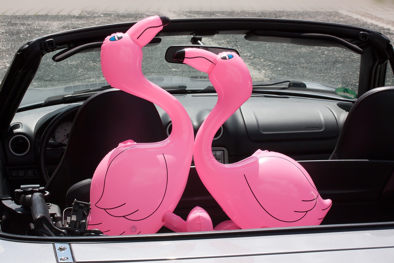 Flamingo, Pripučiami, Rožinis, Romantiškas, Mėgėjai, Automatinis, Kabrioletas, Šventė, Atostogos Pradžia, Kelionė