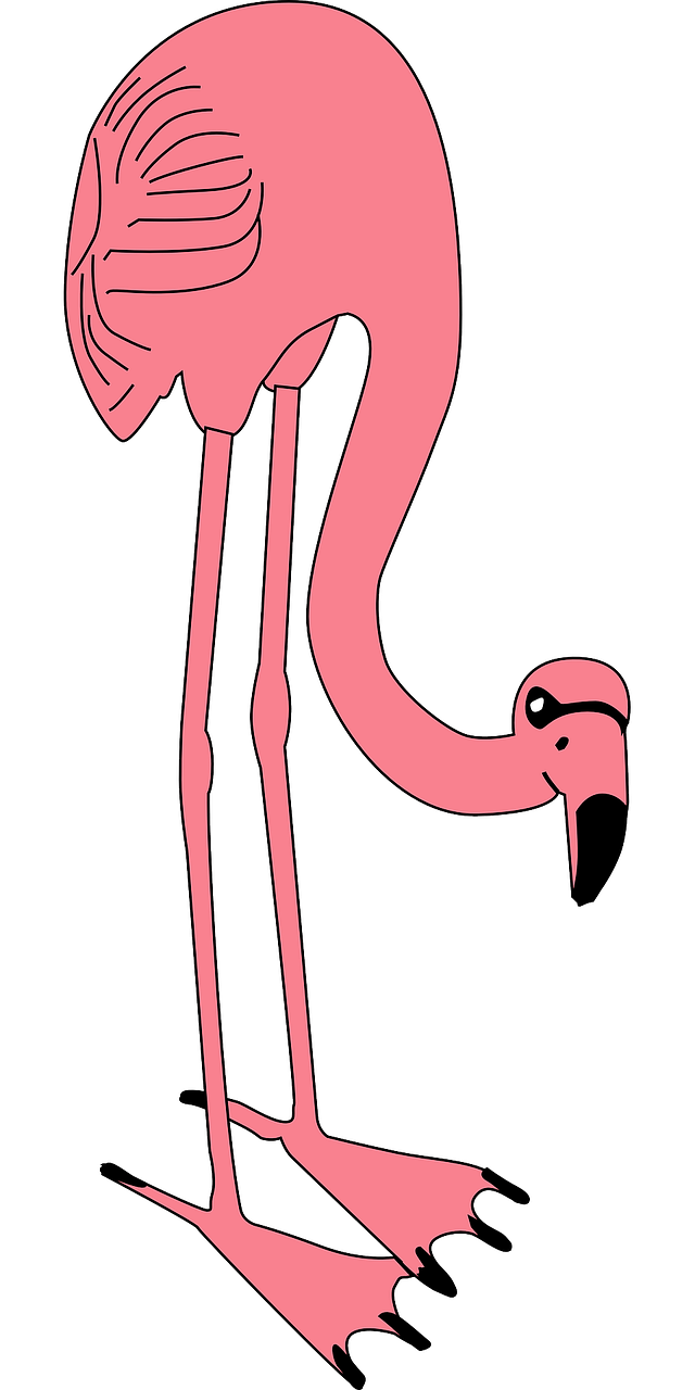 Flamingo, Rožinis, Gyvūnas, Zoologijos Sodas, Laukiniai, Egzotiškas, Atogrąžų, Fauna, Animacinis Filmas, Paukštis