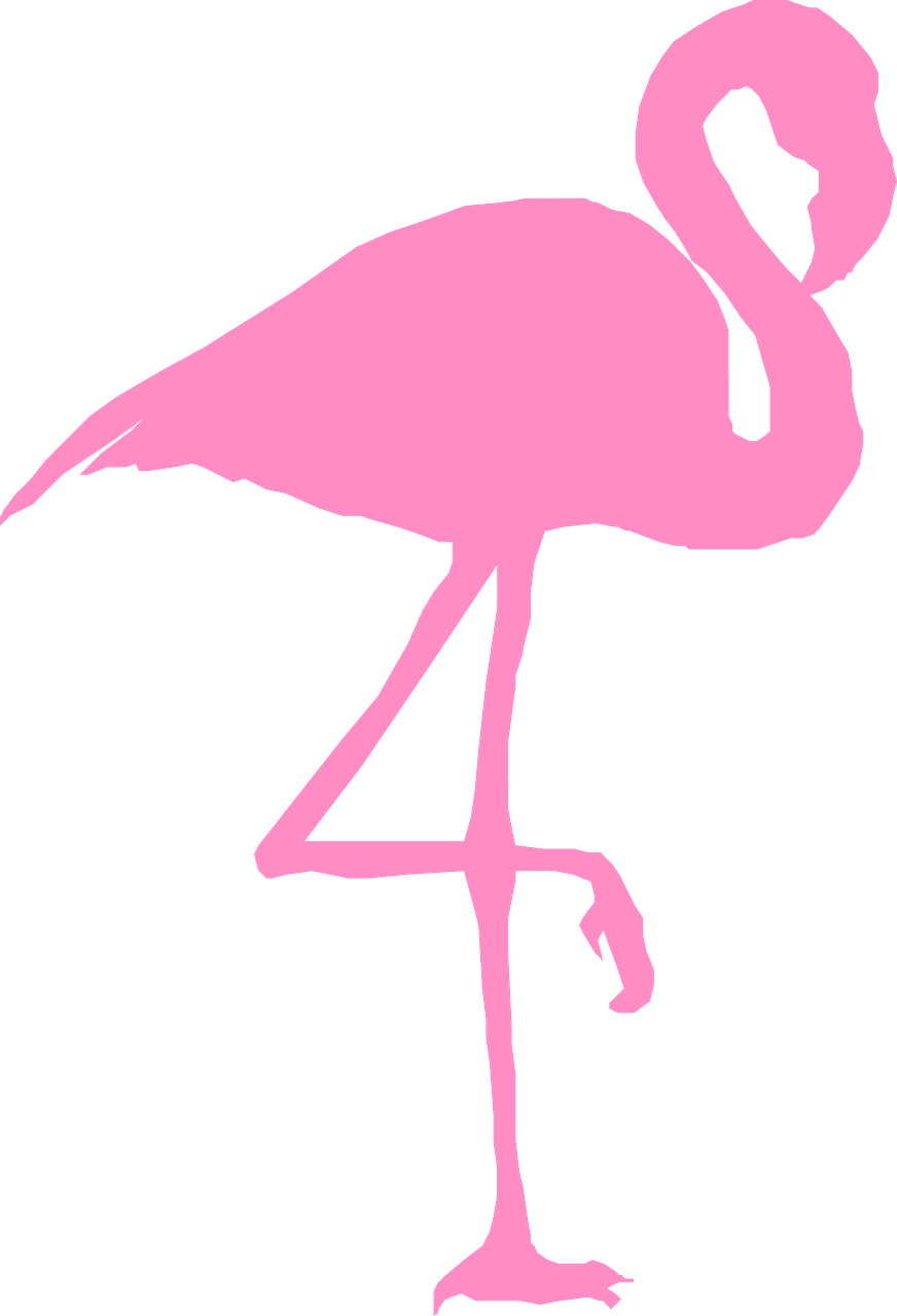 Flamingo, Paukštis, Siluetas, Rožinis, Gamta, Laukinė Gamta, Zoologijos Sodas, Viena Kojelė, Nemokama Vektorinė Grafika, Nemokamos Nuotraukos