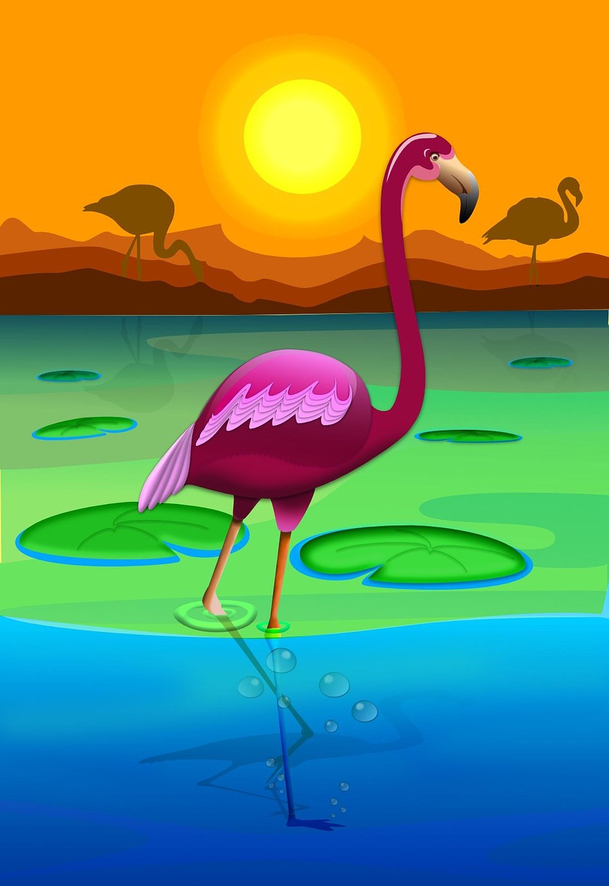 Flamingo,  Gyvūnai,  Vektorgrafik,  Nemokama Iliustracijos, Nemokamos Nuotraukos,  Nemokama Licenzija