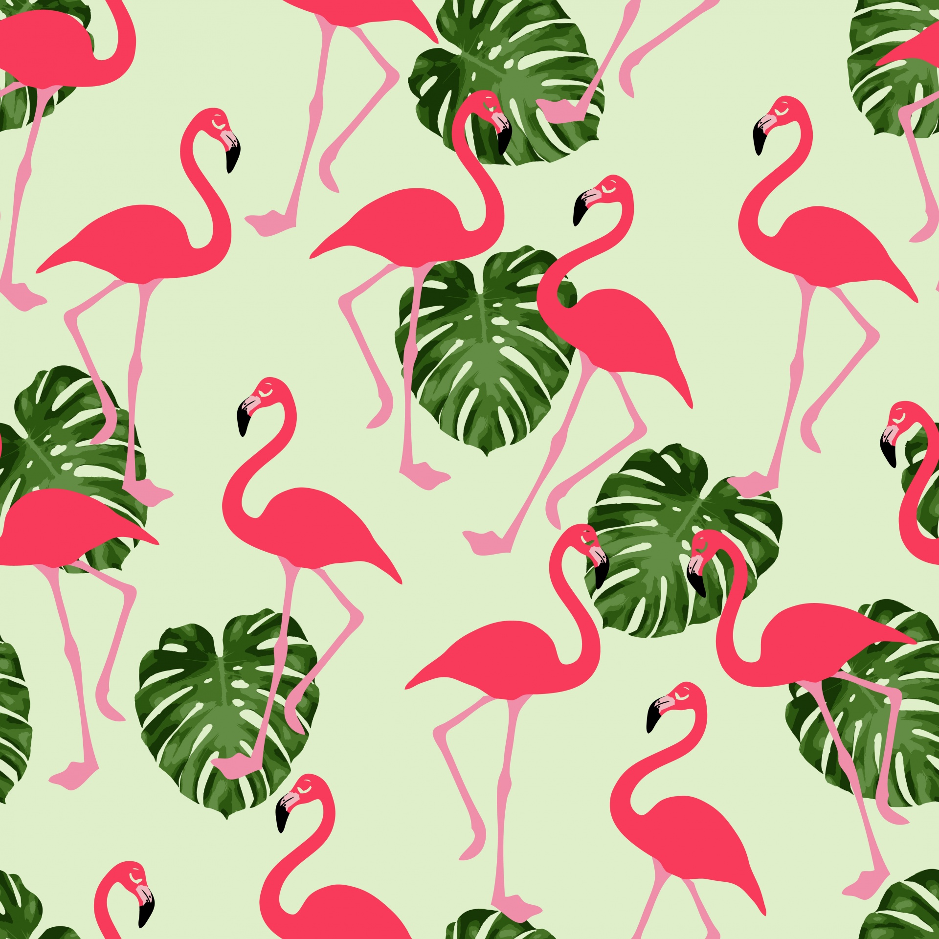 Flamingo,  Flamingas,  Rožinis,  Paukštis,  Paukščiai,  Fonas,  Lapai,  Lapai,  Delnas,  Atogrąžų