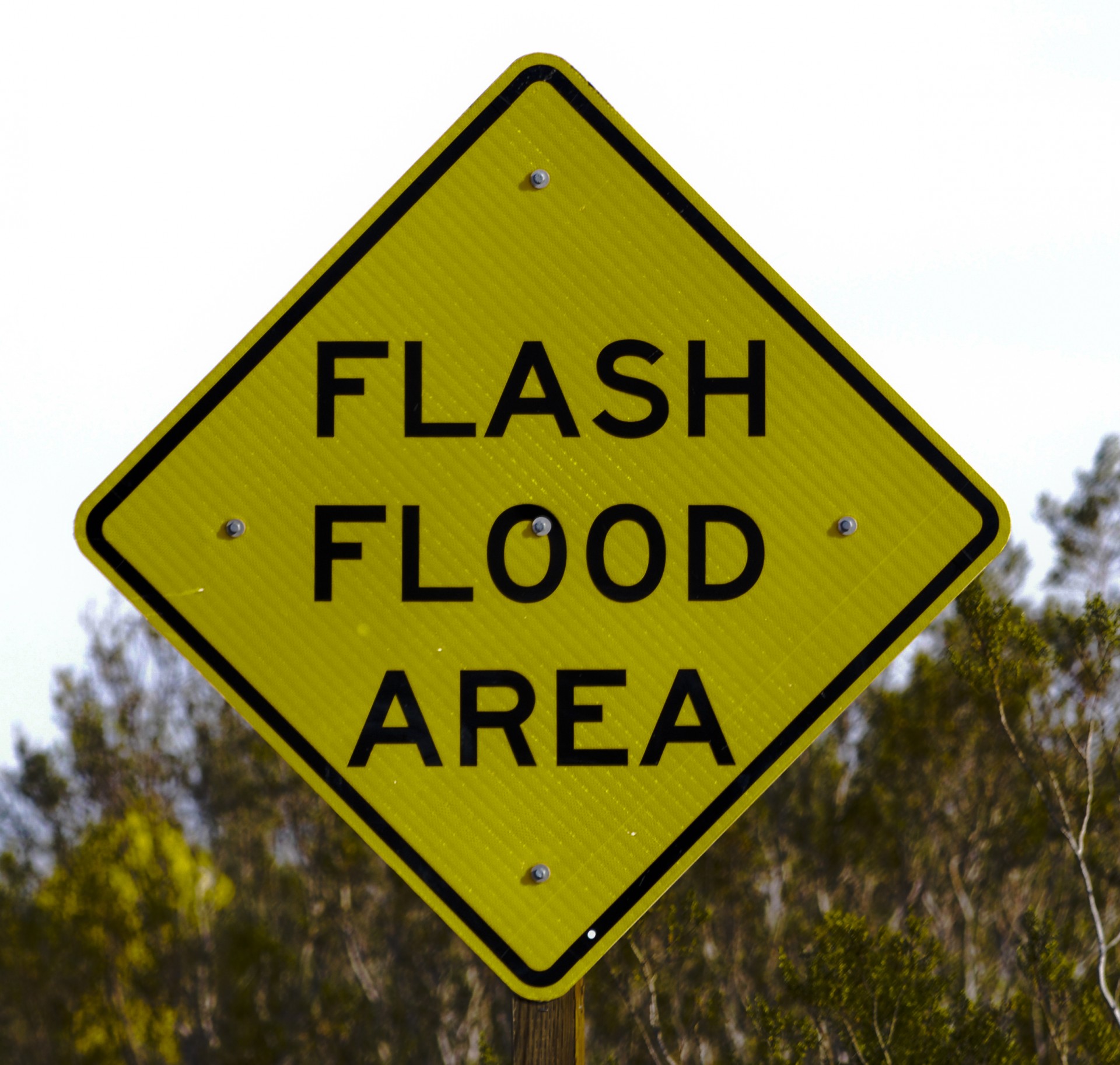 Public signs. Знак флуд. Flash Flood. Flood sign.