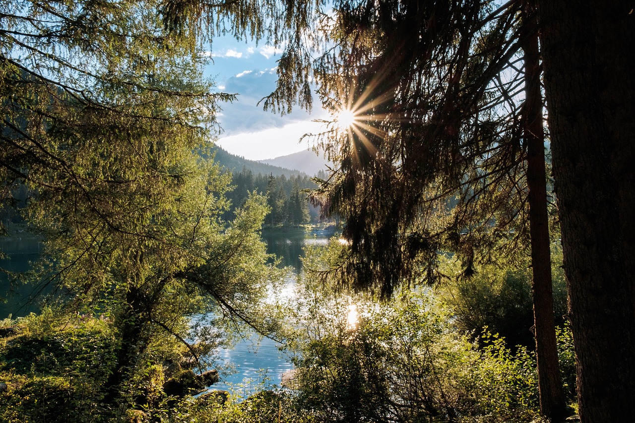 Flims, Graubünden, Šveicarija, Caumasee, Bergsee, Vanduo, Vasara, Kraštovaizdis, Ežeras, Miškas