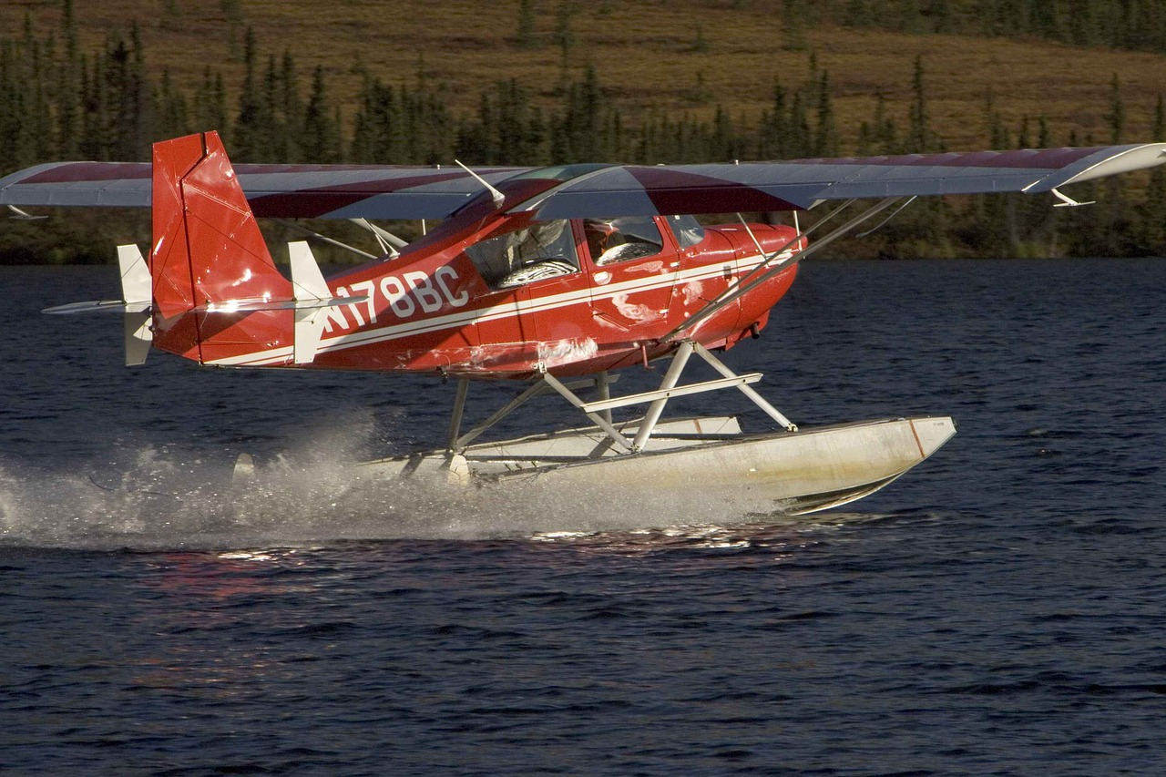 Floatplane, Lėktuvas, Plūdė, Vanduo, Orlaiviai, Lėktuvai, Transporto Priemonės, Gabenimas, Nemokamos Nuotraukos,  Nemokama Licenzija