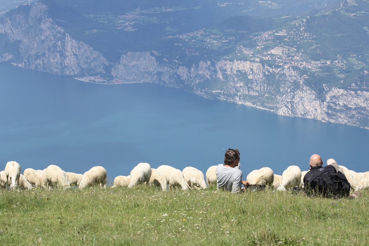 Avių Pulkas, Monte Baldo, Garda, Nemokamos Nuotraukos,  Nemokama Licenzija