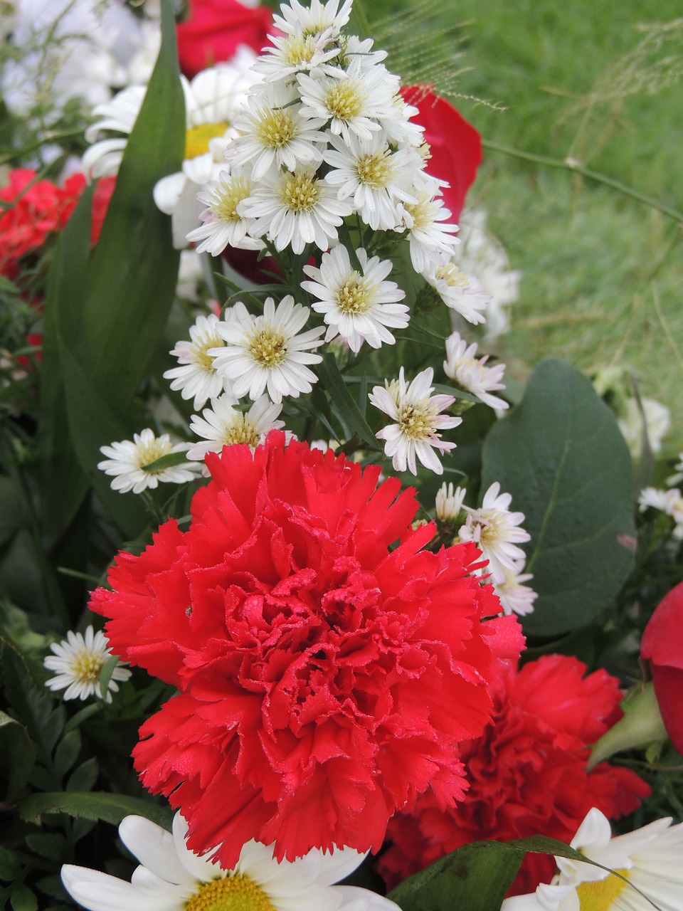 Flora, Gėlių Susitarimas, Išdėstymas, Gėlės, Gvazdikas, Raudona, Balta, Žalias, Nemokamos Nuotraukos,  Nemokama Licenzija