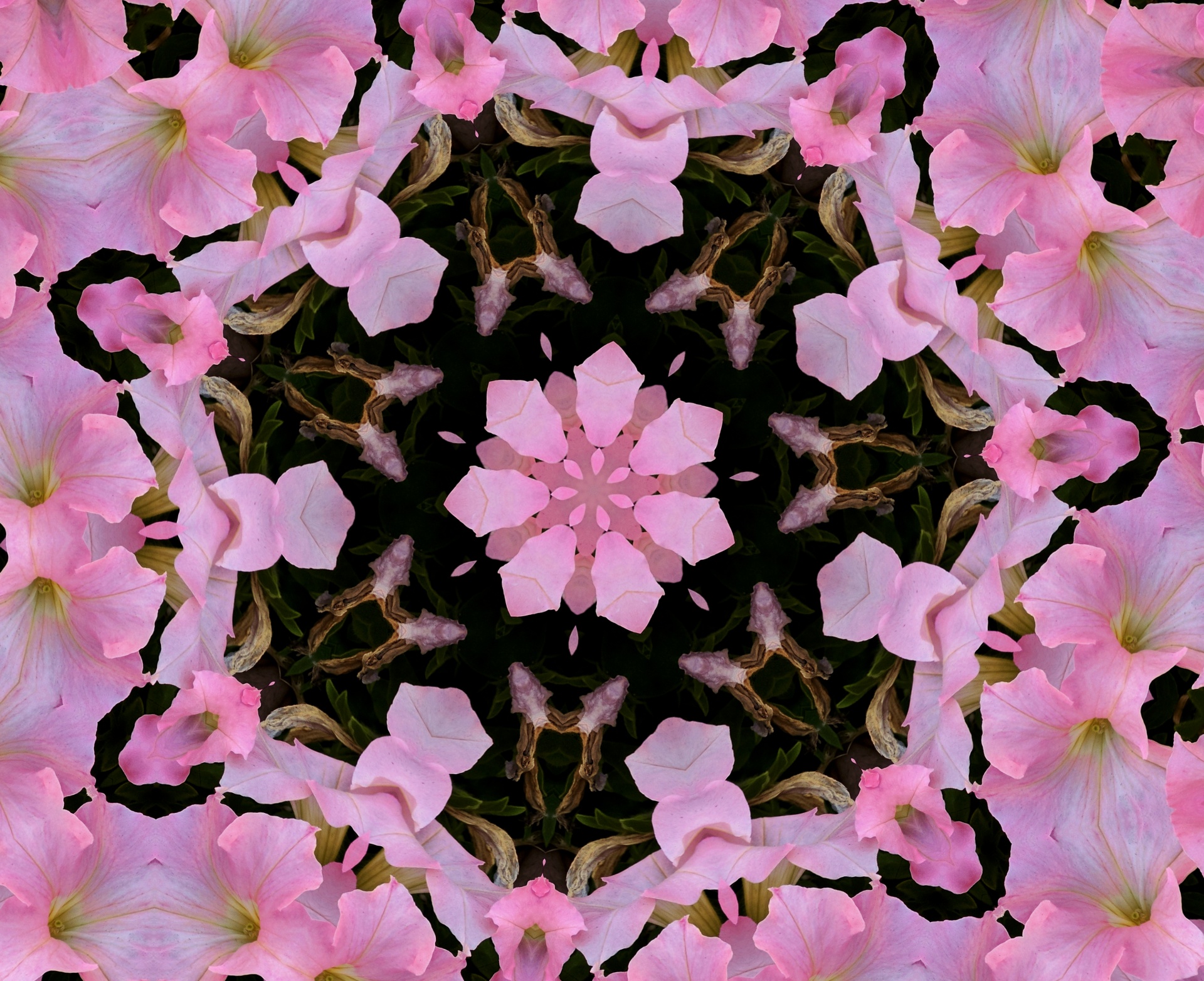 Fonas,  Tapetai,  Gėlė,  Gėlės,  Gėlių,  Kaleidoskopas,  Modelis,  Dizainas,  Rožinis,  Gėlių Kaleidoskopo Fonas