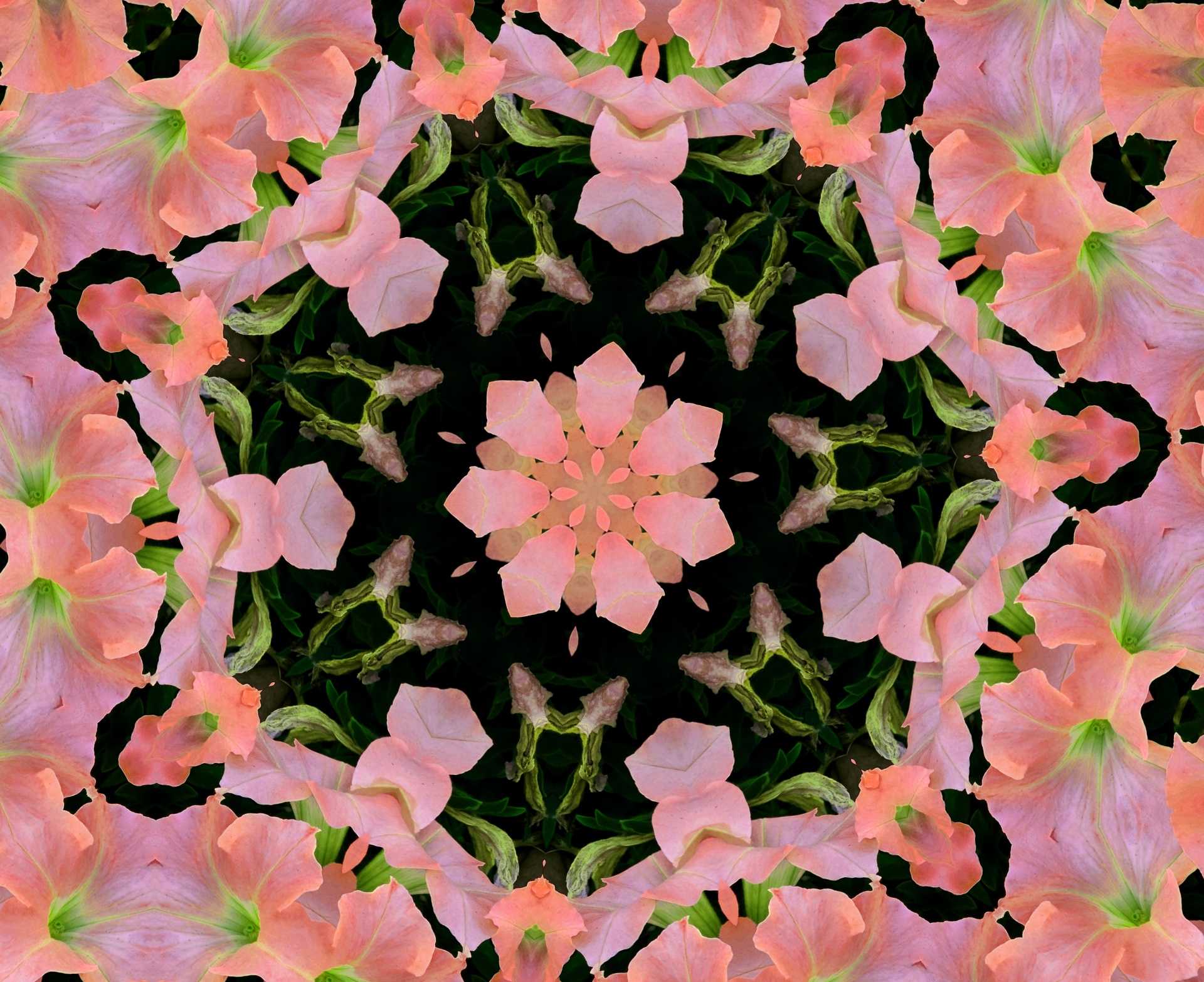 Fonas,  Tapetai,  Gėlė,  Gėlės,  Gėlių,  Kaleidoskopas,  Modelis,  Dizainas,  Persikas,  Gėlių Kaleidoskopo Fonas