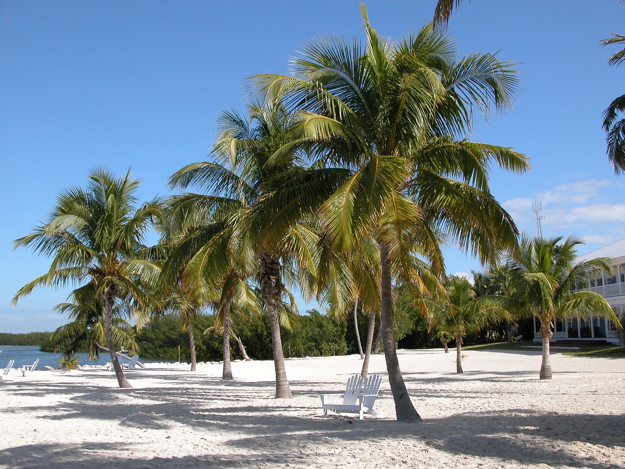 Florida, Vandenynas, Raktai, Papludimys, Kelionė, Atostogos, Jūra, Atogrąžų, Dangus, Usa