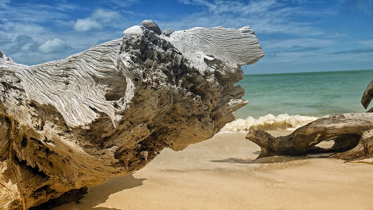 Florida, Papludimys, Jūra, Įlanka, Vandenynas, Kranto, Floridos Paplūdimys, Atogrąžų, Pajūris, Mediena