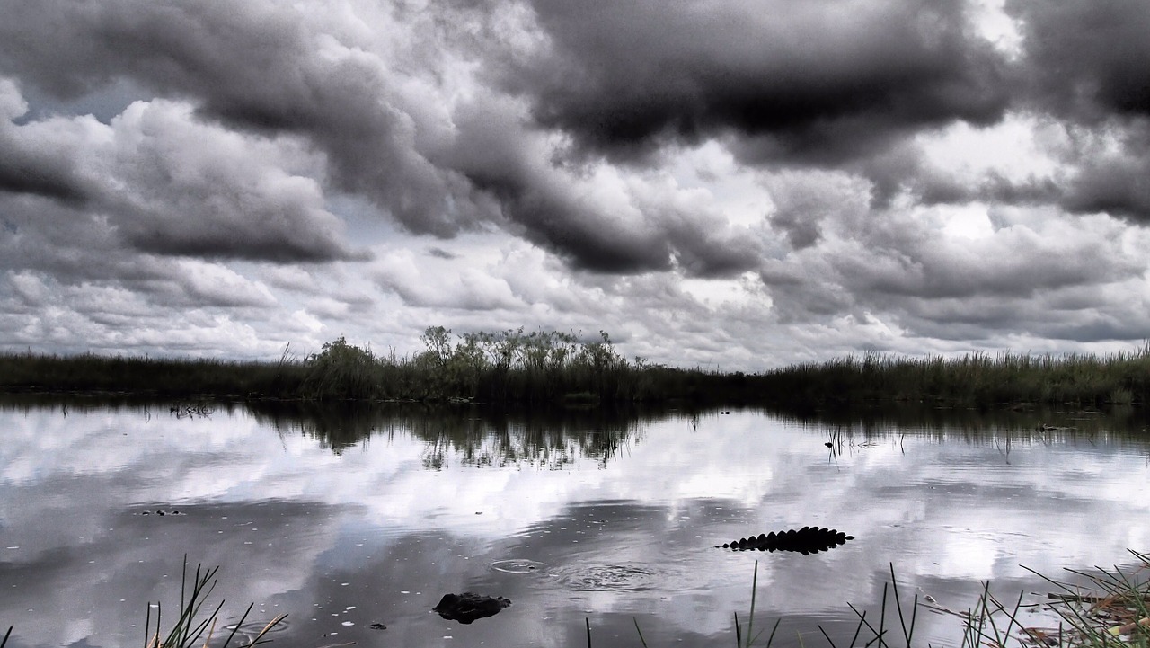 Florida, Everglades, Usa, Nemokamos Nuotraukos,  Nemokama Licenzija