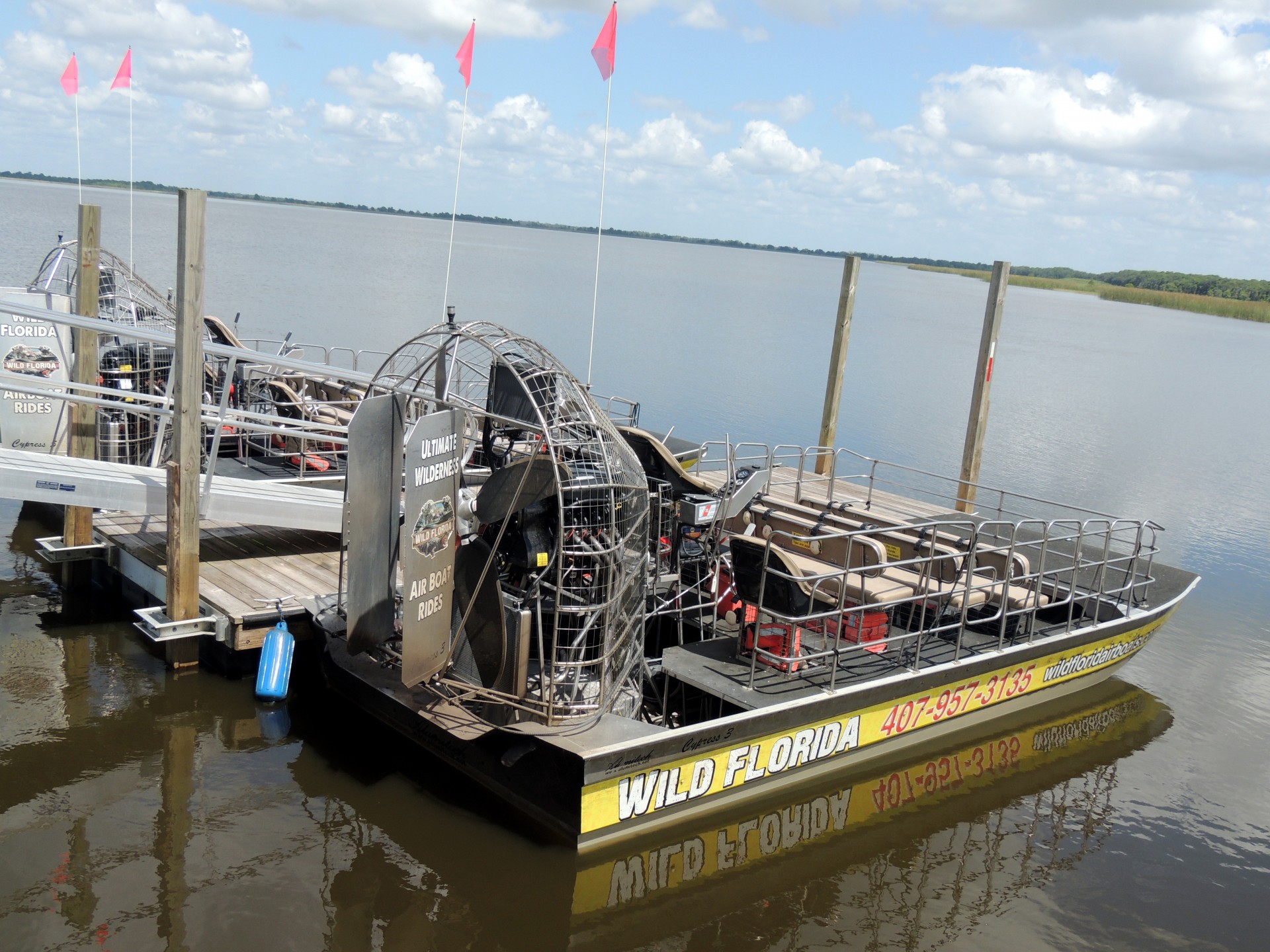 Florida,  Pelkė,  Bayou,  Airboat,  Kelionė,  Valtis,  Florida Oro Laivas 2, Nemokamos Nuotraukos,  Nemokama Licenzija