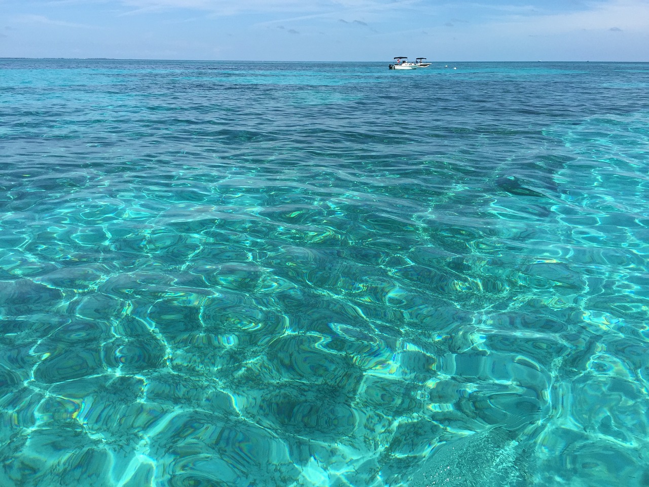 Florida Raktus, Looe Raktas, Snorkeling, Jūra, Vandenynas, Vanduo, Nemokamos Nuotraukos,  Nemokama Licenzija