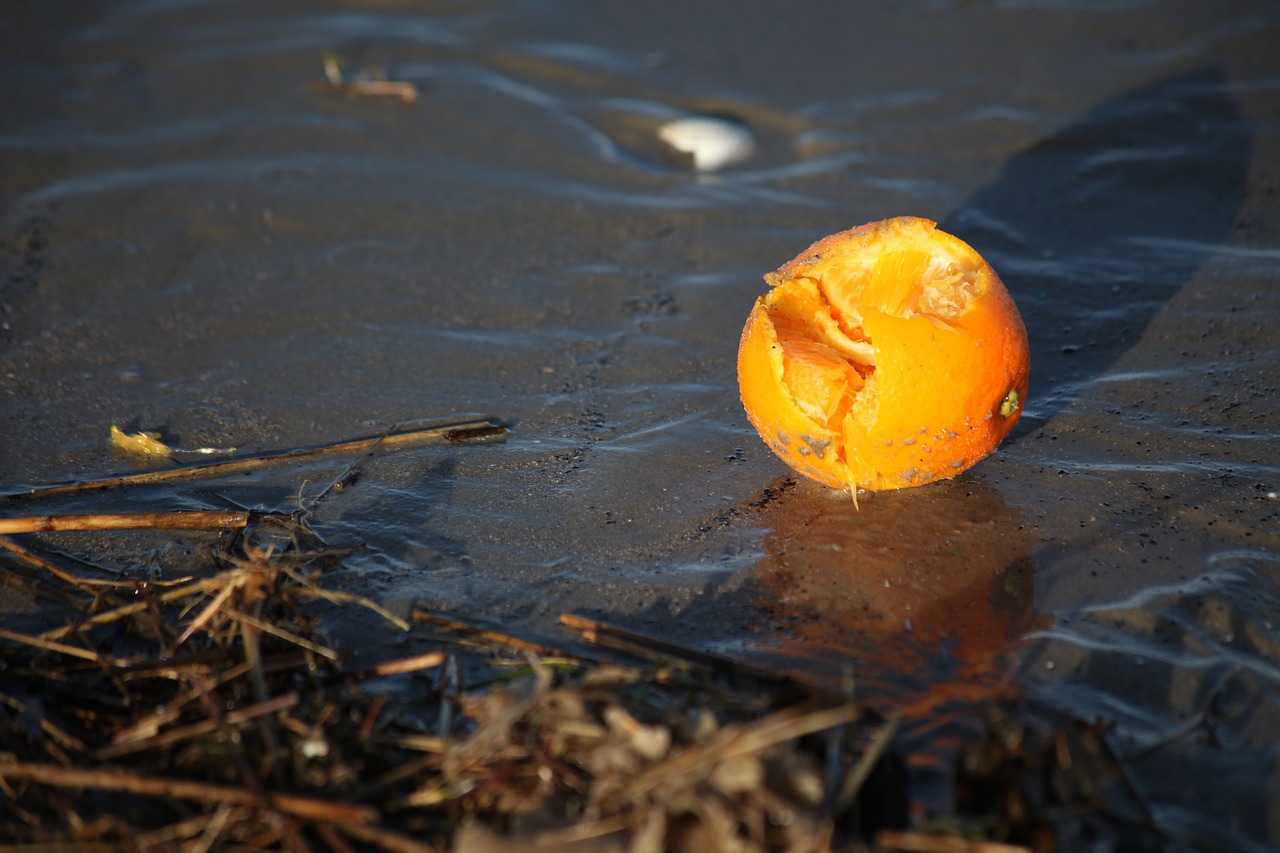 Flotsam, Oranžinė, Vakarinė Šviesa, Nemokamos Nuotraukos,  Nemokama Licenzija