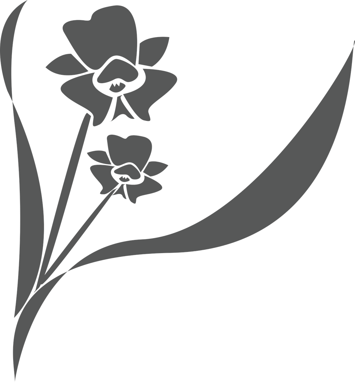 Gėlė, Orchidėja, Augalas, Žiedas, Nemokama Vektorinė Grafika, Nemokamos Nuotraukos,  Nemokama Licenzija