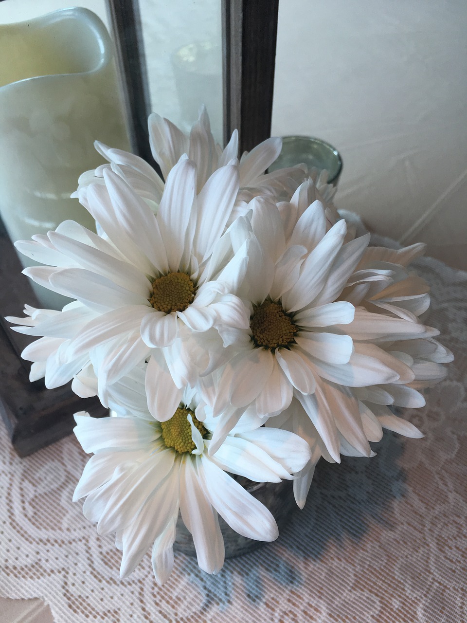 Balta Daisy, Gėlė, Centro Dalys, Išdėstymas, Nemokamos Nuotraukos,  Nemokama Licenzija