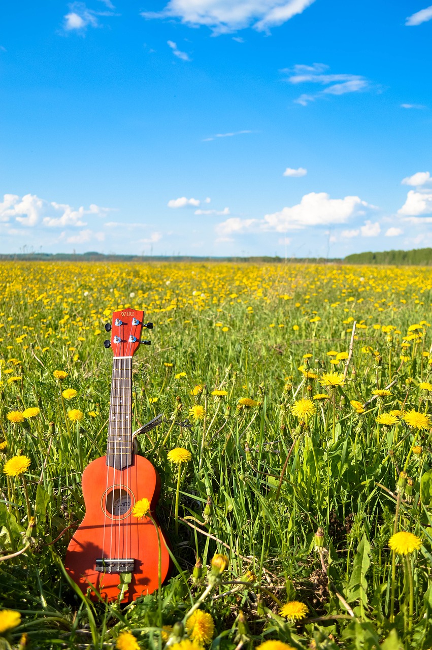 Gėlė, Gitara, Dangus, Vasara, Ukulele, Nemokamos Nuotraukos,  Nemokama Licenzija