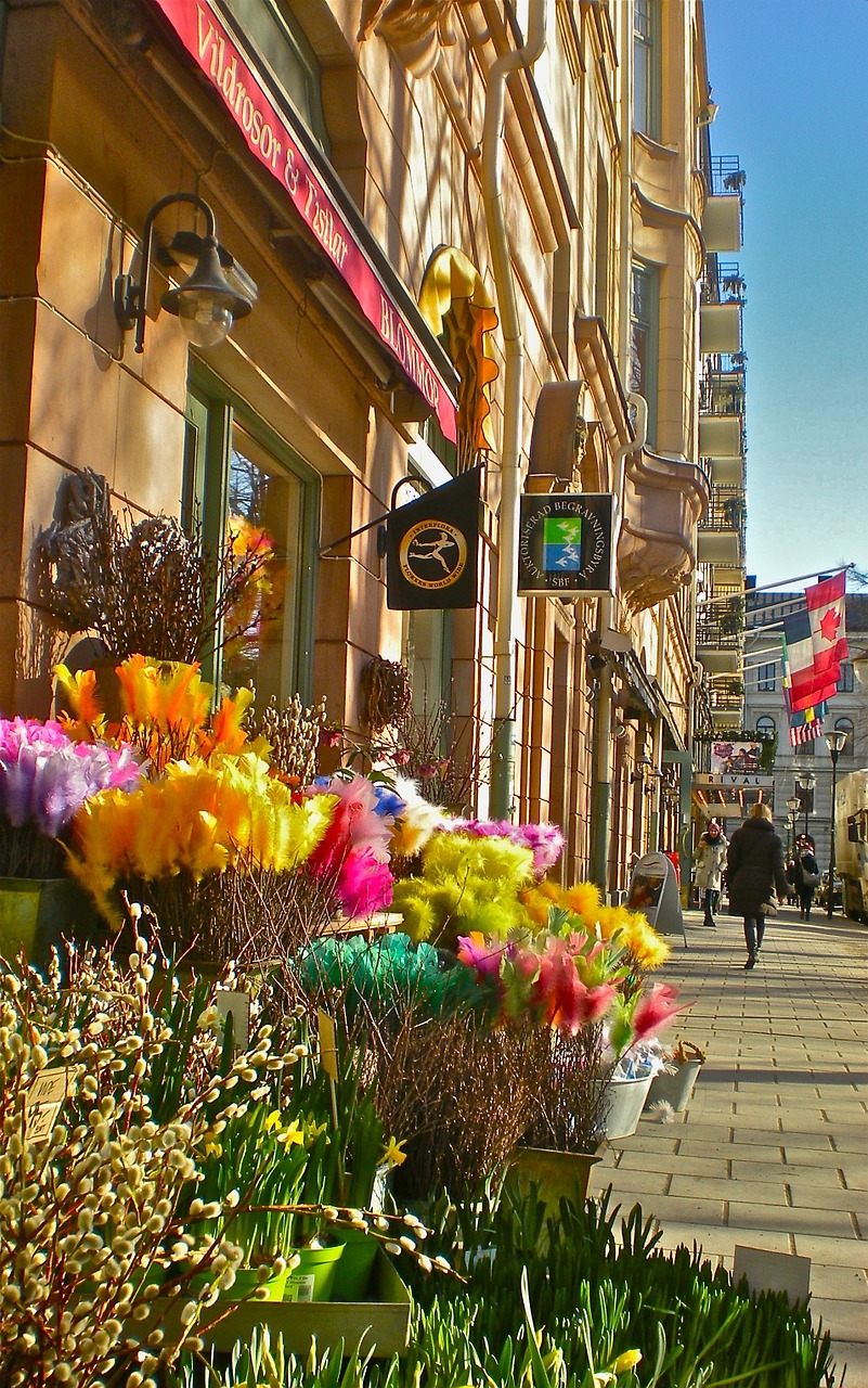 Gėlė, Gėlių Parduotuvė, Mariatorget, Stockholm, Nemokamos Nuotraukos,  Nemokama Licenzija