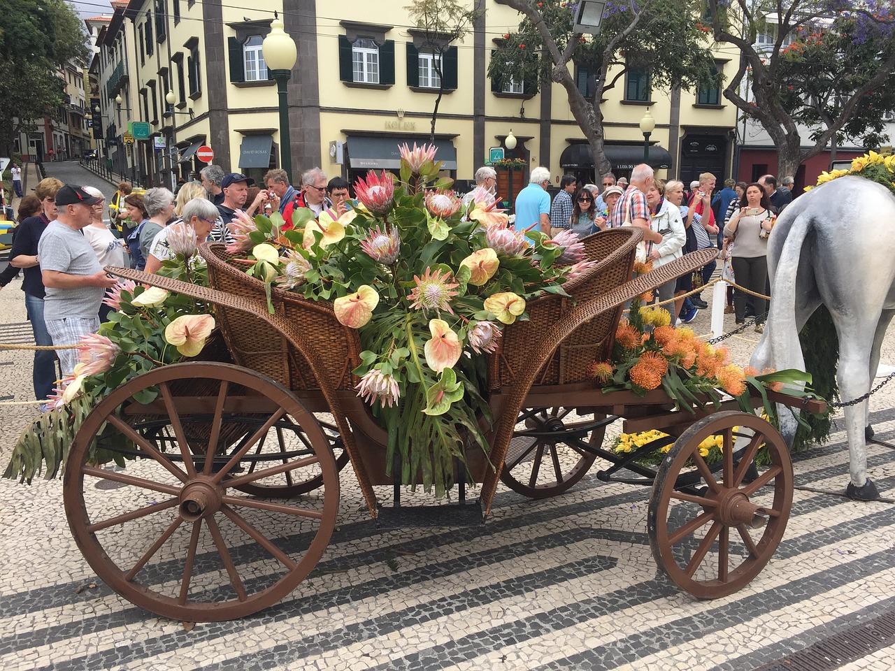 Gėlė, Festivalis, Madeira, Nemokamos Nuotraukos,  Nemokama Licenzija