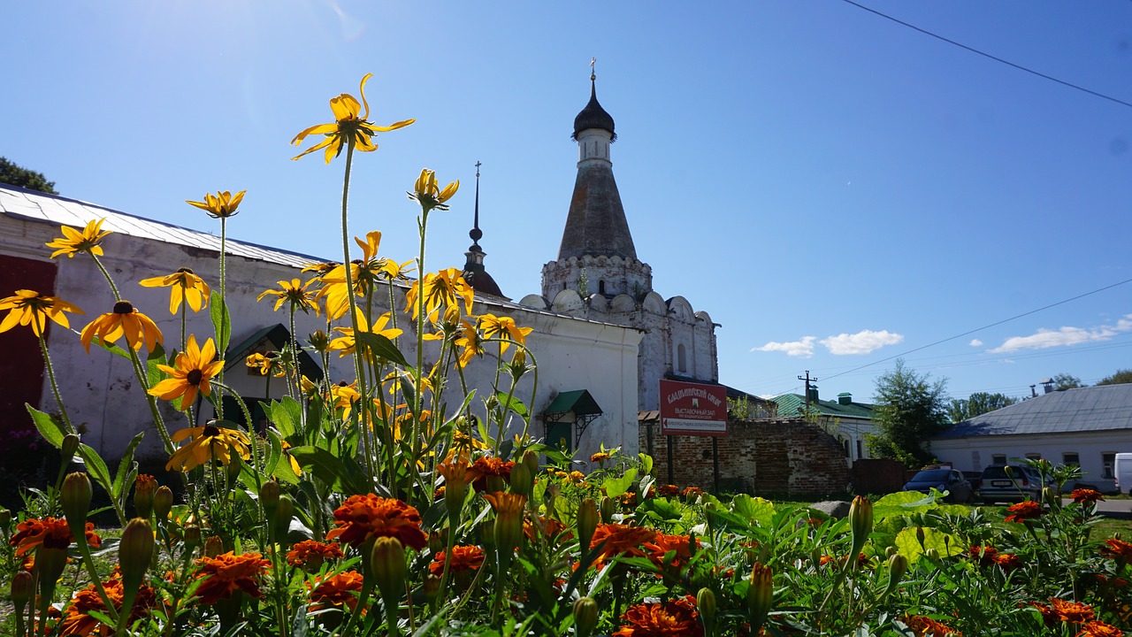 Gėlė, Menas, Dizainas, Balta, Gėlių, Pavasaris, Gamta, Vasara, Lapai, Žiedas