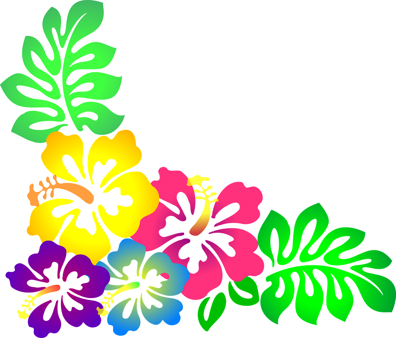 Gėlė, Hawaii, Hibiscus, Luau, Spalvinga, Nemokama Vektorinė Grafika, Nemokamos Nuotraukos,  Nemokama Licenzija