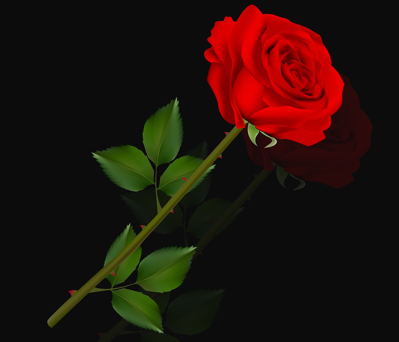 Gėlė, Rosa, Meilė, Augalas, Žiedlapis, Romantiška Rožinė, Romantiškas, Juodas Fonas, Raudona, Fonas