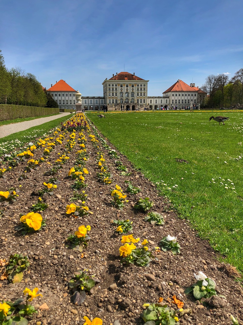 Gėlė,  Sodas,  Žolė,  Pobūdį,  Augalų,  Rush,  Vasara,  Žemė,  Parkas,  Kraštovaizdis