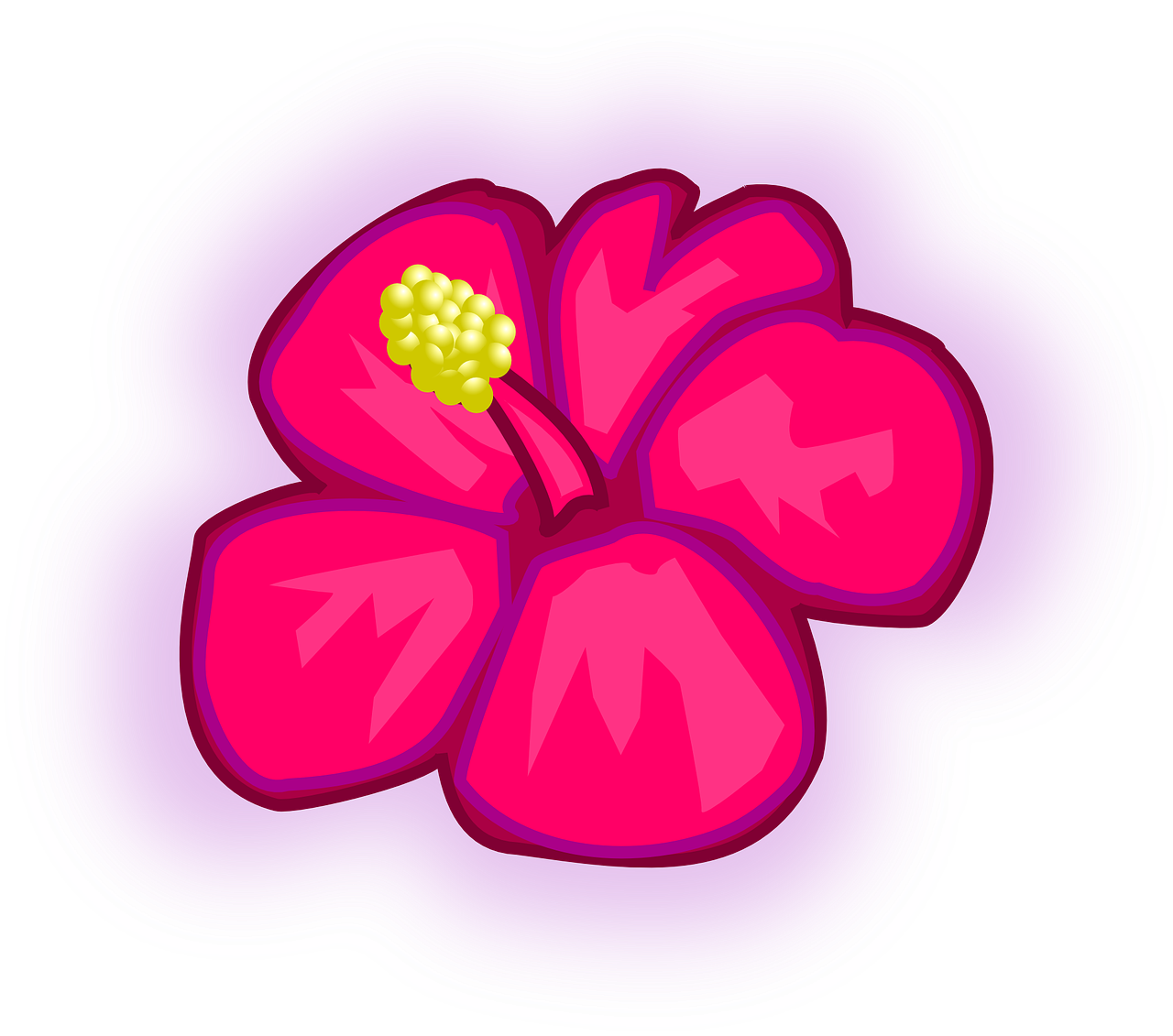 Gėlė, Havajų Kalba, Rožė, Raudona, Atogrąžų, Augalas, Hibiscus, Egzotiškas, Žiedlapis, Žydi
