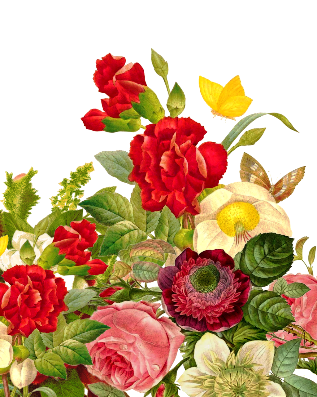 Gėlių Puokštė, Rožė, Drugelis, Gėlių Puokštė, Vestuvės, Gėlių, Gėlė, Rožinis, Gamta, Romantika
