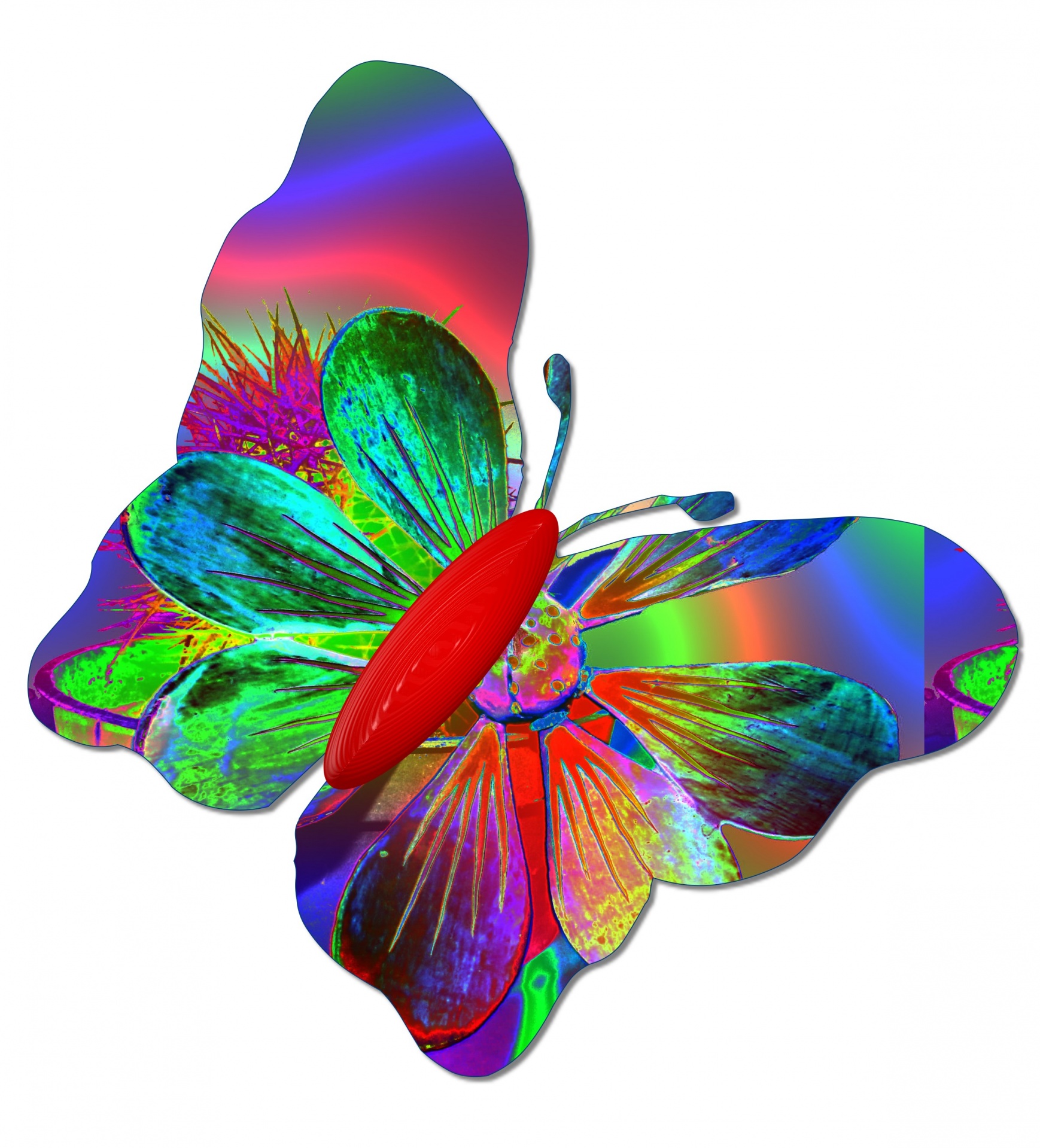 Кратко разноцветная бабочка. Радужные бабочки. Разноцветные бабочки. Большая цветная бабочка. Бабочки цветные.