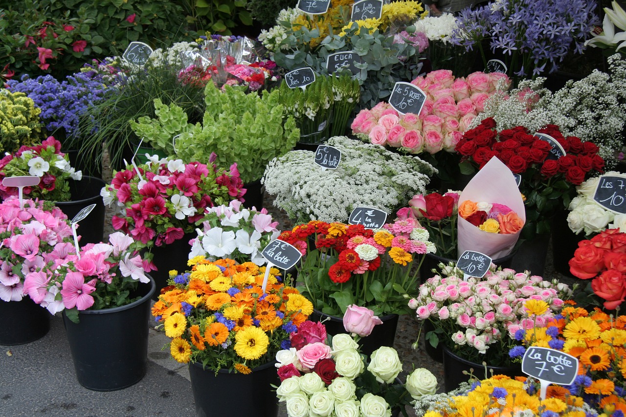 Gėlių Stovas, Turgus, Gėlės, Spalvos, Skintos Gėlės, Spalvinga, Nemokamos Nuotraukos,  Nemokama Licenzija